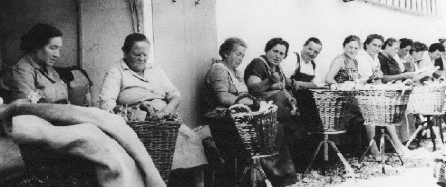 Schamel historie schaelen